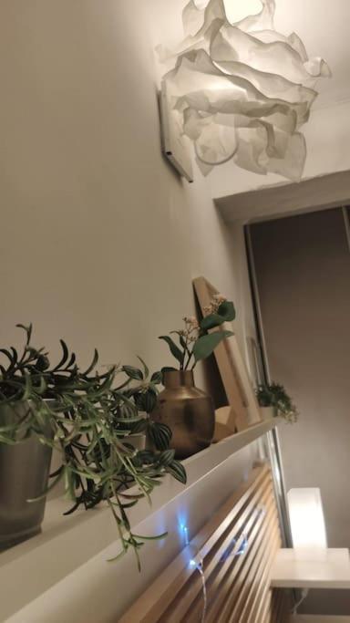 Appartement - Brando Esterno foto